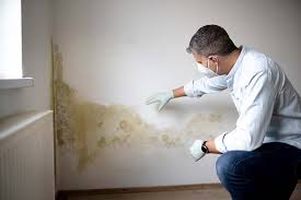 Best Mold Damage Restoration  in Croton On Hudson, NY